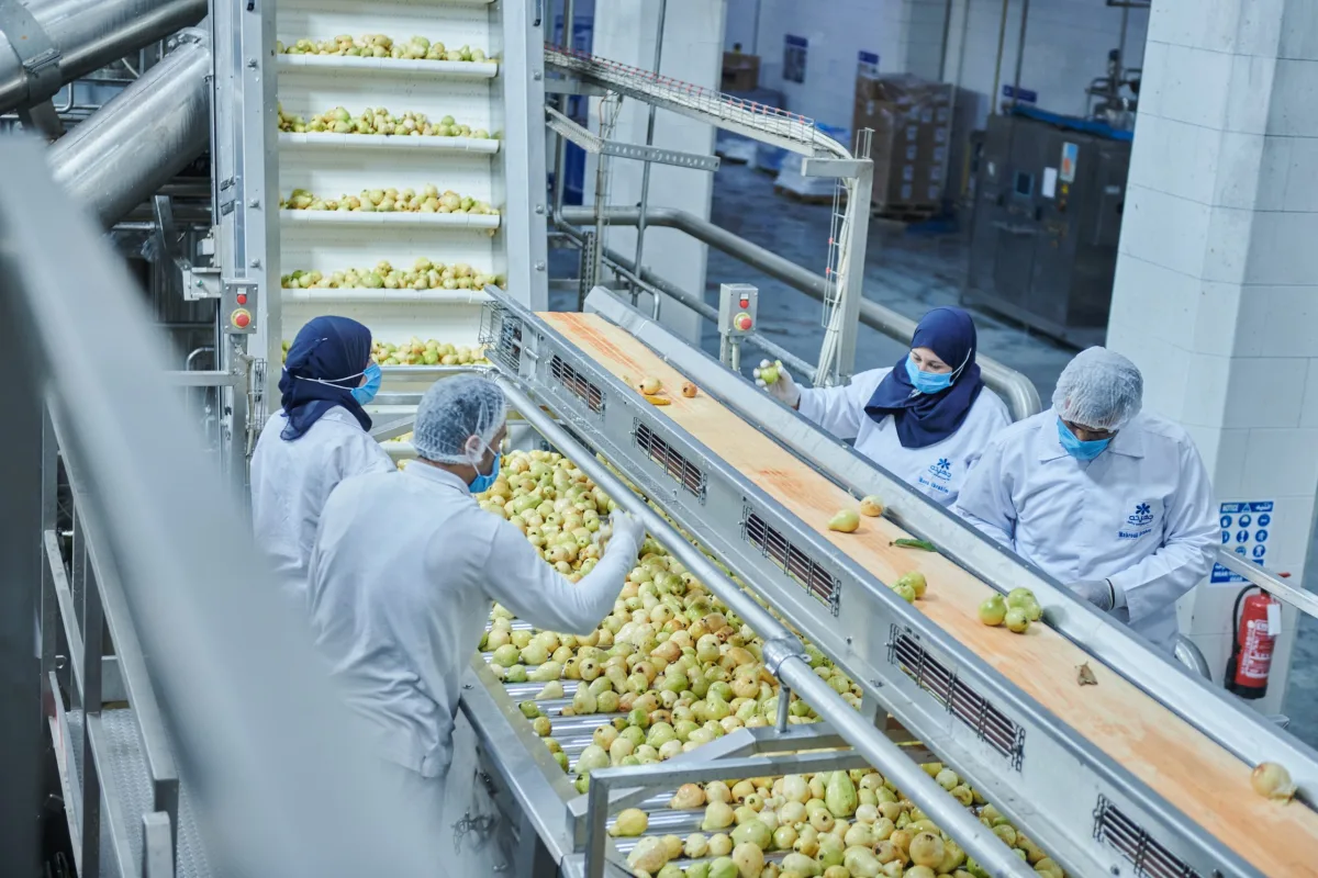 مصانع أغذية في السعودية